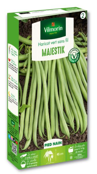 Légumes Secs - Haricot nain vert sans fil Majestik - face recto